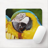 Blauer Papagei Mousepad (Mit Mouse)