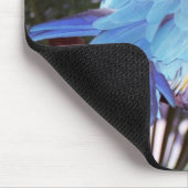 blauer Papagei Mousepad (Ecke)