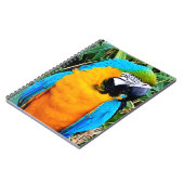 Blauer Papagei Notizblock (Linke Seite)