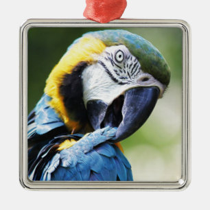 Blauer Papagei Ornament Aus Metall