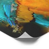 Blauer Papagei Poster (Ecke)