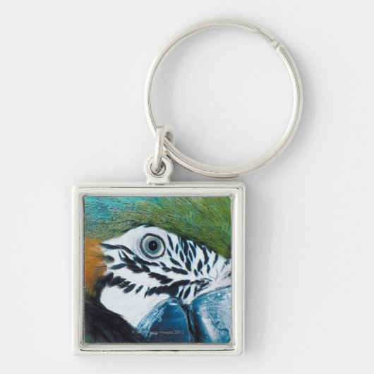 Blauer Papagei Schlüsselanhänger (Vorne)
