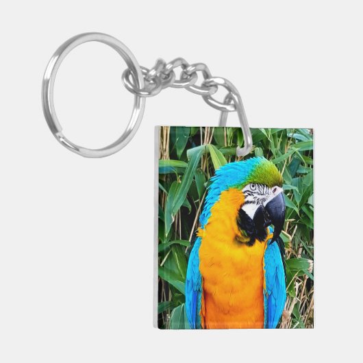 Blauer Papagei Schlüsselanhänger (Vorderseite links)