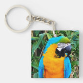 Blauer Papagei Schlüsselanhänger (Vorderseite)
