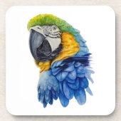 Blauer Papagei-Untersetzer Getränkeuntersetzer (Vorderseite)