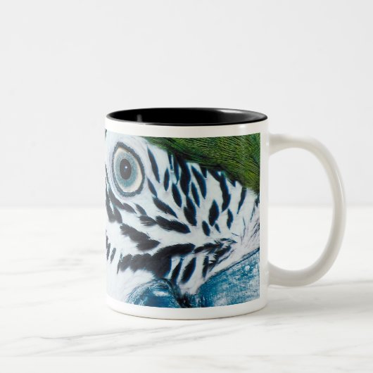 Blauer Papagei Zweifarbige Tasse (Rechts)