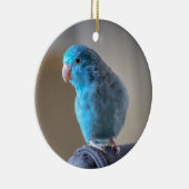 Blauer Paraketit Keramik Ornament (Rechts)
