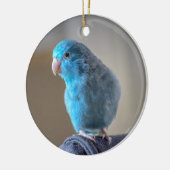 Blauer Paraketit Keramik Ornament (Links)