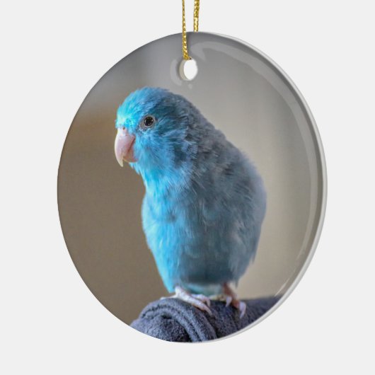 Blauer Paraketit Keramik Ornament (Links)