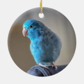 Blauer Paraketit Keramik Ornament (Hinten)