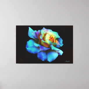 Blauer Pastell Rainbow Rosen Wrapped Canvas Large Leinwanddruck