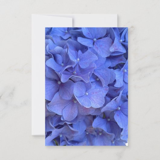 Blauer Perwinkl UAWG RSVP Karte (Rückseite)