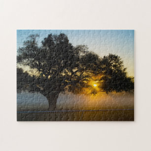 Blauer Peter Baum Sonnenaufgang Puzzle