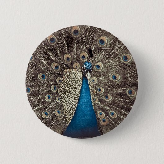 Blauer Pfau Button (Vorderseite)