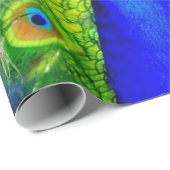 Blauer Pfau-Feder-Entwurf Geschenkpapier (Rolleneckpunkt)