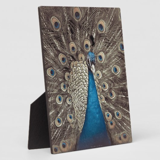 Blauer Pfau Fotoplatte (Seite)
