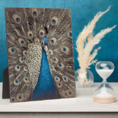 Blauer Pfau Fotoplatte (Seite)