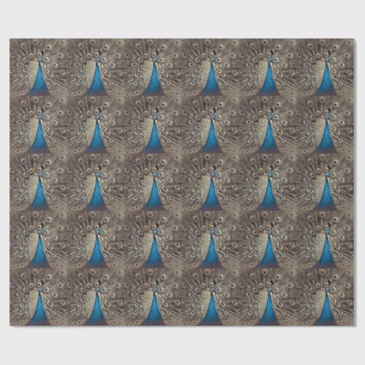 Blauer Pfau Geschenkpapier (Flach)