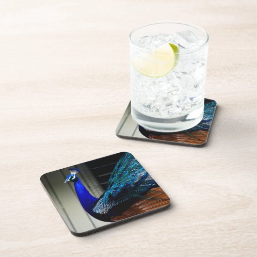 Blauer Pfau Getränkeuntersetzer (Rechte Seite)