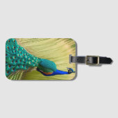 Blauer Pfau im Gras Gepäckanhänger (Vorderseite (Horizontal))