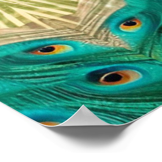 Blauer Pfau im Gras Poster (Ecke)