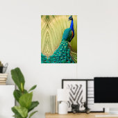 Blauer Pfau im Gras Poster (Heimbüro)