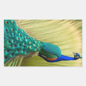 Blauer Pfau im Gras Rechteckiger Aufkleber (Vorderseite)