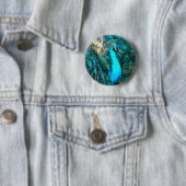 Blauer Pfau in lebendigem Blau mit gefangenen Schw Button (Beispiel)