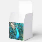 Blauer Pfau in lebendigem Blau mit gefangenen Schw Geschenkschachtel (Geöffnet)