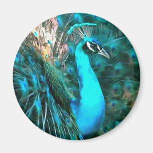 Blauer Pfau in lebendigem Blau mit gefangenen Schw Magnet