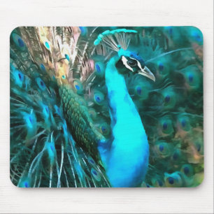 Blauer Pfau in lebendigem Blau mit gefangenen Schw Mousepad