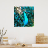 Blauer Pfau in lebendigem Blau mit gefangenen Schw Poster (Küche)