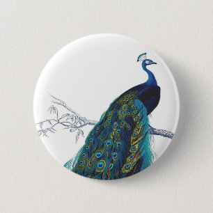 Blauer Pfau mit schönen Schwanzfedern Button