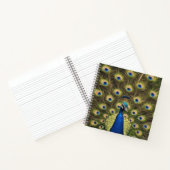 Blauer Pfau Notizblock (Innenseite)