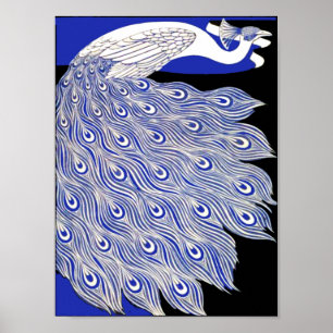 Blauer Pfau Poster