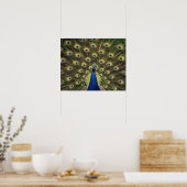 Blauer Pfau Poster (Küche)