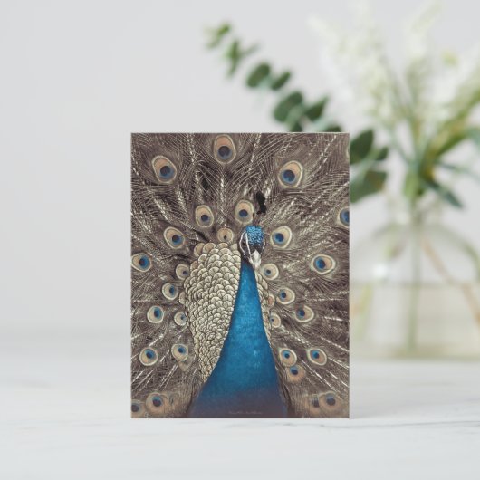 Blauer Pfau Postkarte (Stehend Vorderseite)