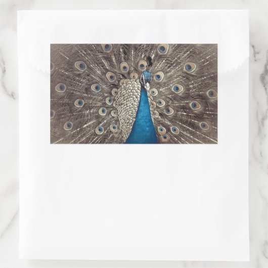 Blauer Pfau Rechteckiger Aufkleber (Tasche)
