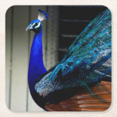 Blauer Pfau Rechteckiger Pappuntersetzer (Vorderseite)