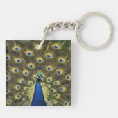 Blauer Pfau Schlüsselanhänger (Rückseite)