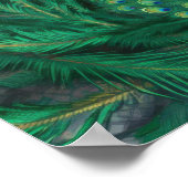 Blauer Pfau Vogel Poster (Ecke)