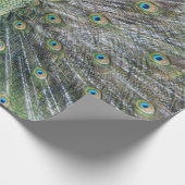 Blauer Pfau-volles Gefieder Geschenkpapier (Ecke)