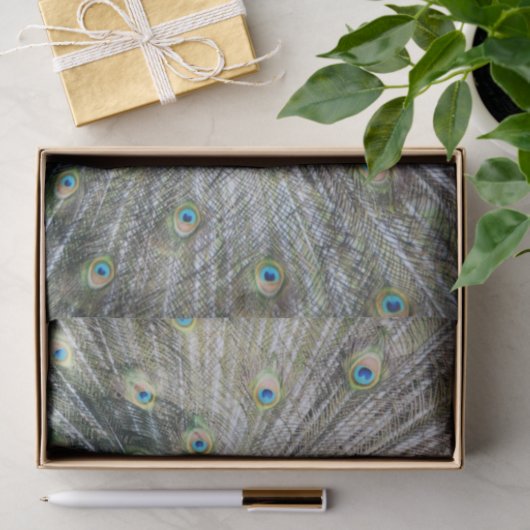 Blauer Pfau-volles Gefieder Seidenpapier (Geschenk)