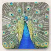 Blauer Pfauenfeder Getränkeuntersetzer (Vorderseite)