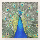 Blauer Pfauenfeder Glasuntersetzer (Vorderseite)