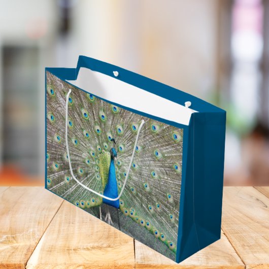 Blauer Pfauenfeder Große Geschenktüte