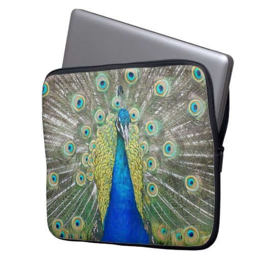 Blauer Pfauenfeder Laptopschutzhülle (Vorderseite Links)