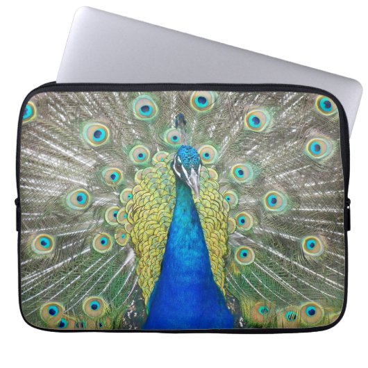 Blauer Pfauenfeder Laptopschutzhülle (Vorderseite)