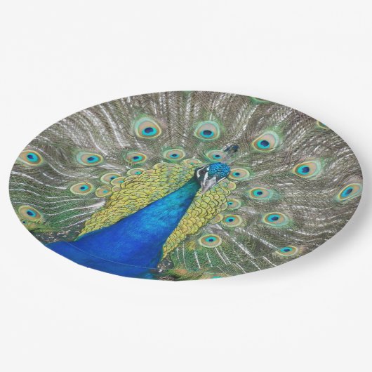 Blauer Pfauenfeder Pappteller (Schrägansicht)