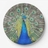 Blauer Pfauenfeder Pappteller (Vorderseite)